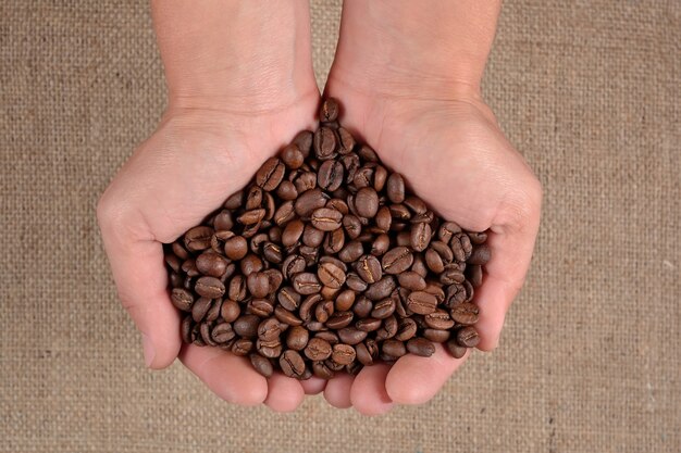 Grains de café dans la paume des mains