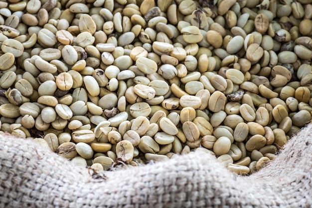 Grains de café dans un sac