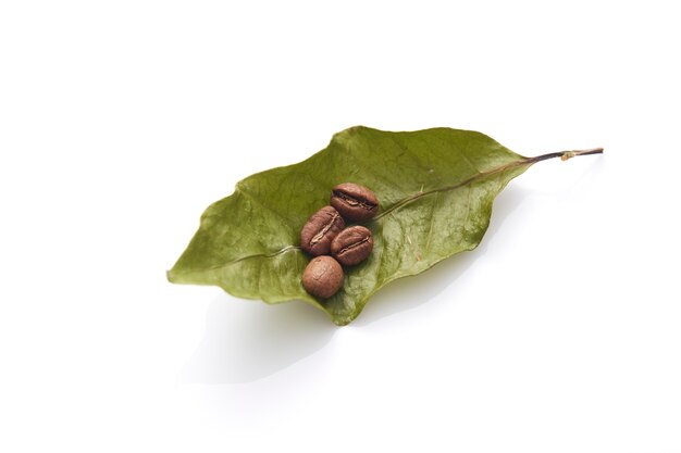 Grains de café avec des feuilles de café