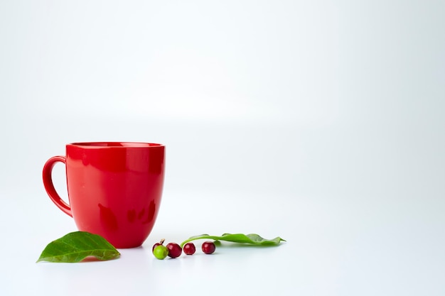 Grains de café frais avec des feuilles et une tasse rouge vide sur fond blanc