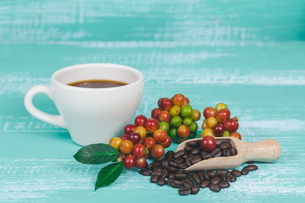 grains de café frais et tasse de café chaud, concept de nourriture et de boisson.