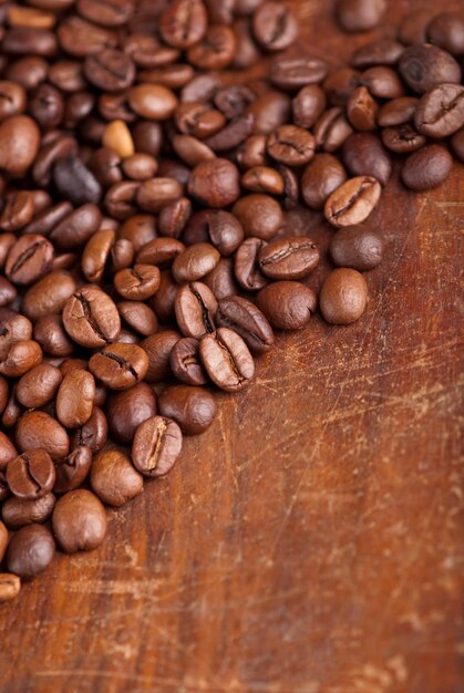 Grains de café Gros plan de grains de café avec accent
