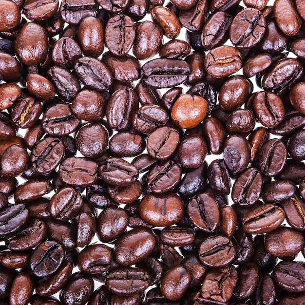 Grains de café isolés sur blanc.