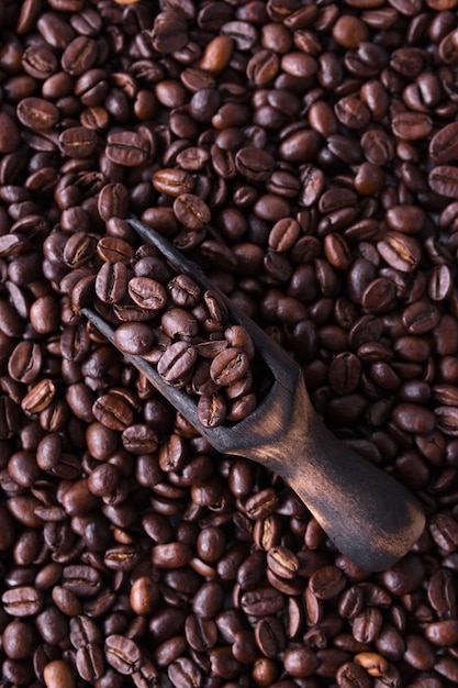 Grains de café isolés sur un tableau blanc