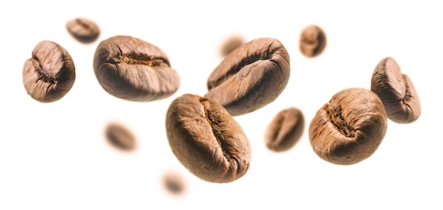 Les grains de café lévitent sur un fond blanc