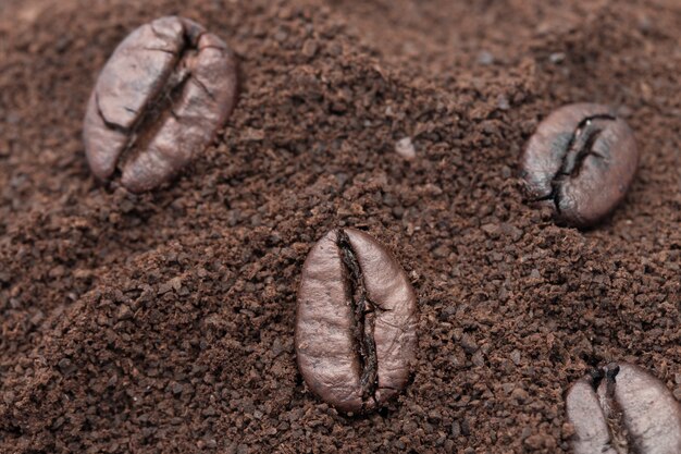 Grains de café sur la poudre de café.