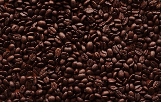 Photo grains de café pour le fond. graine de café