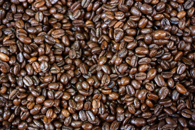 Grains de café prêts pour le fond du broyeur