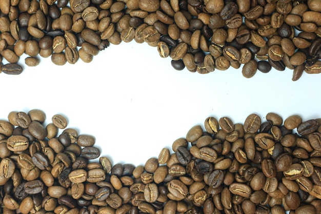 Grains de café rayures isolés en fond blanc