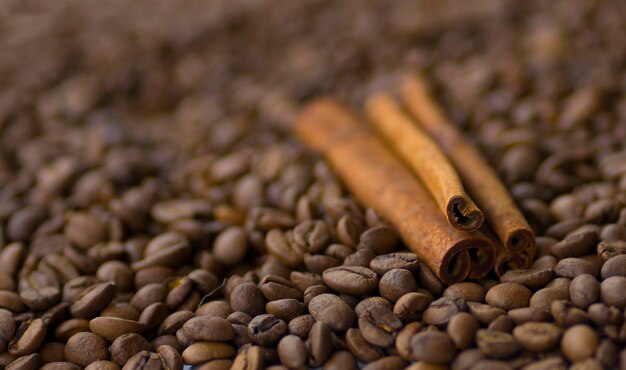 Grains de café torréfiés Bâtons de cannelle