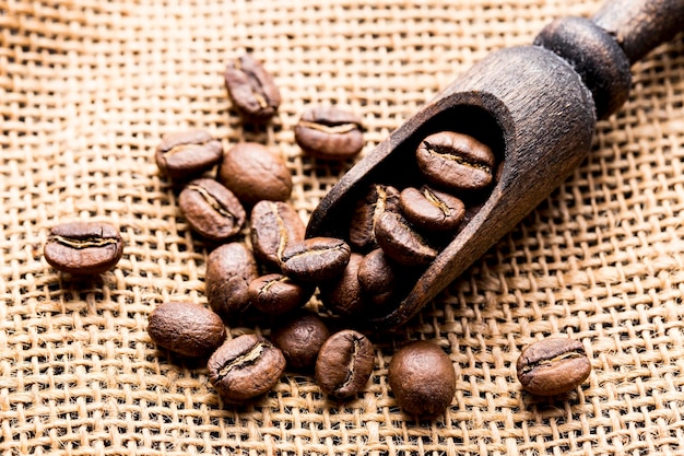 Grains de café torréfiés avec une cuillère en bois agrandi l'espace d'image pour le texte