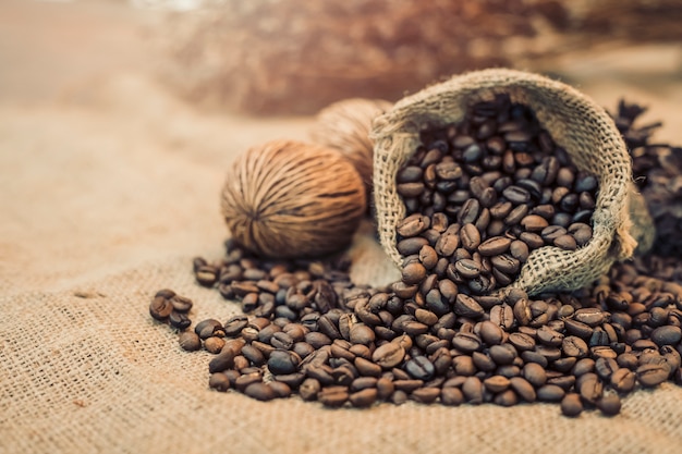 Grains de café torréfiés dans un sac