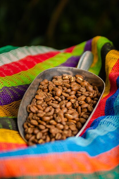 grains de café torréfiés sur une grande table