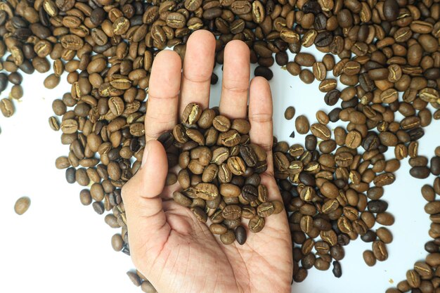 Grains de café torréfiés sur une main de palmier Barista.