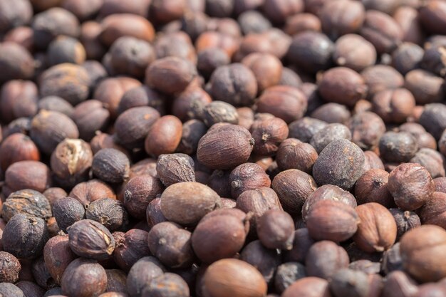 Grains de café torréfiés