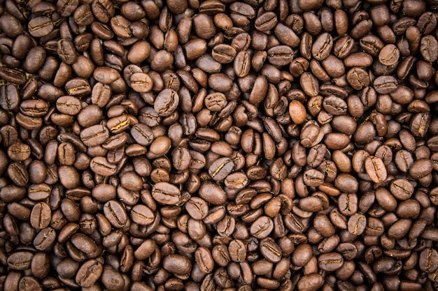 Grains de café torréfiés.