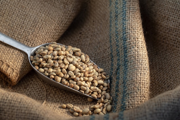 Grains de café vert crus dans un sac avec une cuillère