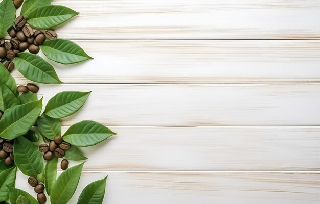 Des grains de café verts et des feuilles fraîches sur une table blanche en bois douce.