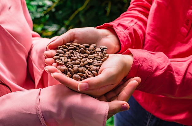 grains de café