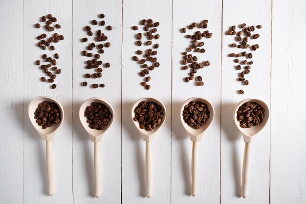 Grains de différentes variétés de café torréfié naturel dans des cuillères en bois