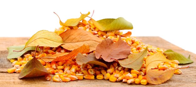 Grains de maïs et feuilles d'automne sur table en bois