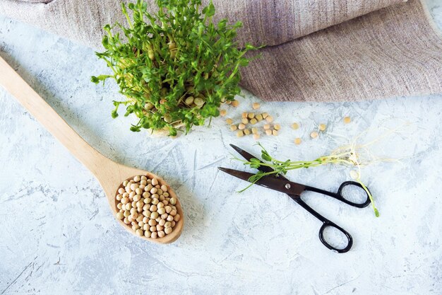 Grains de micro-verts et germes de pois germés sur la table