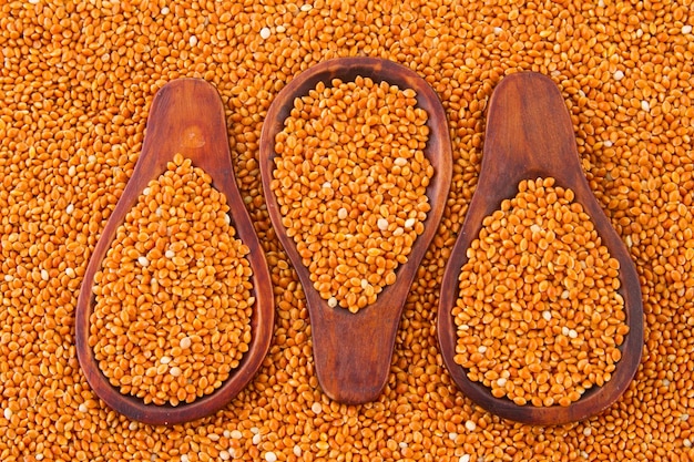 Grains de millet rouge avec cuillère en bois