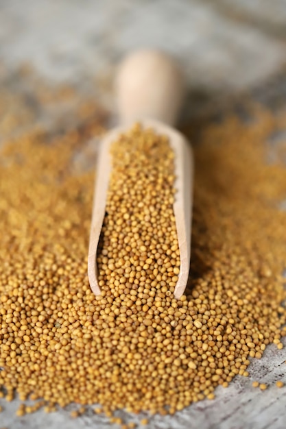 Grains de moutarde dans une spatule en bois.