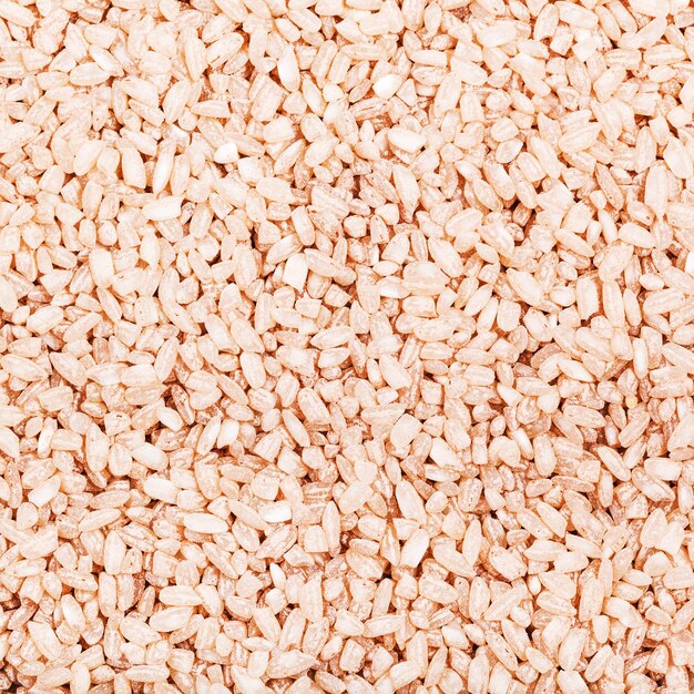 Grains moyens de riz rouge Matta Devzira close up