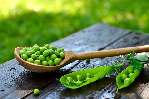 Grains de pois verts dans une cuillère en bois sur une table en bois