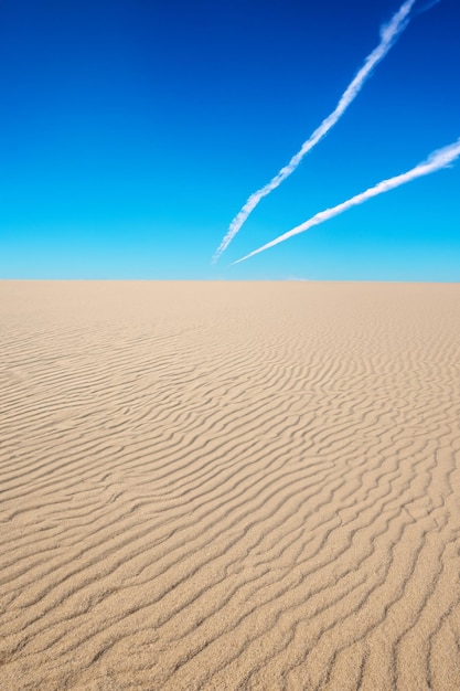 Les grains de sable ensoleillés relient la terre et le ciel dans un horizon de bonheur