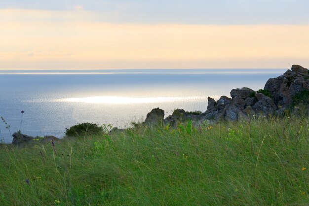 Photo graminées dans les prairies près de la côte de la mer d'été du matin