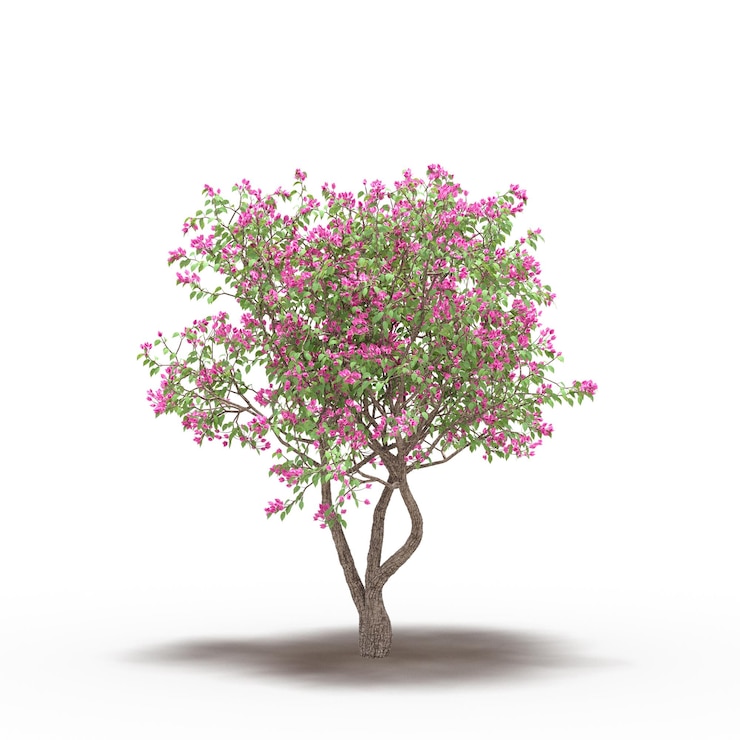 Photo grand arbre avec une ombre en dessous, isolé sur fond blanc, illustration 3d, rendu cg