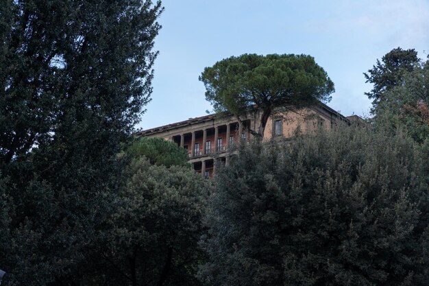 Un grand bâtiment avec un arbre devant lui.