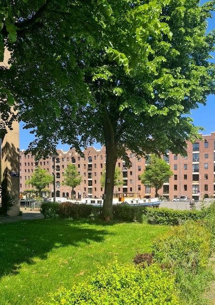 Un grand bâtiment en brique avec un grand arbre devant lui