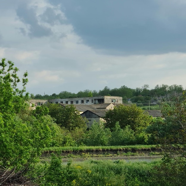 Un grand bâtiment est entouré d'arbres et de buissons.