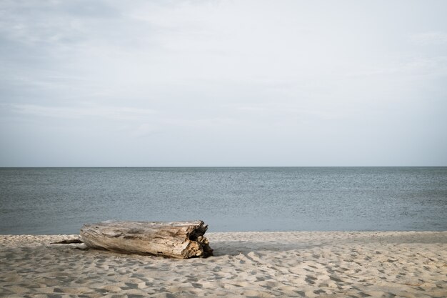 Le grand bois au bord de la mer pour s&#39;asseoir et regarder la vue sur la mer