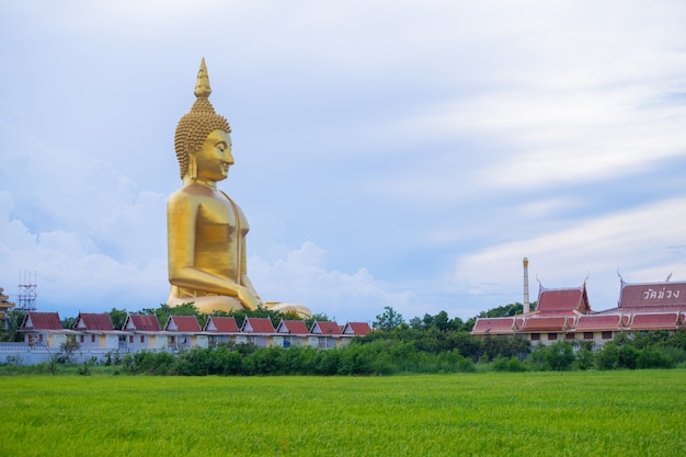 Grand Bouddha doré avec champ riche, temple Bouddhiste populaire de Wat Muang Angthong en Thaïlande.