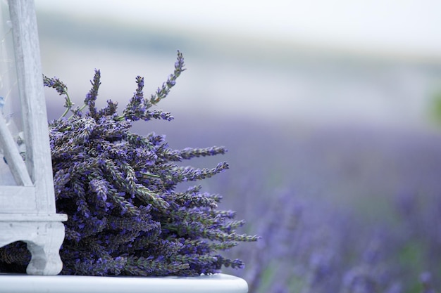 Photo un grand bouquet de fleurs de lavande sur une table blanche sur fond de champ de lavande