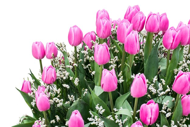 Grand bouquet de tulipes roses