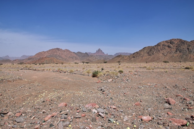 Grand Canyon d'Al Shaq en Arabie Saoudite