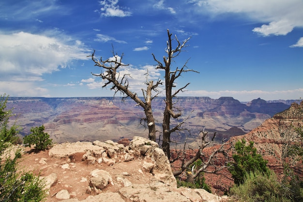 Grand Canyon en Arizona, États-Unis