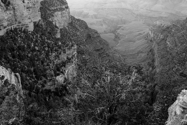 Grand canyon paysage parc national arizona usa rive sud