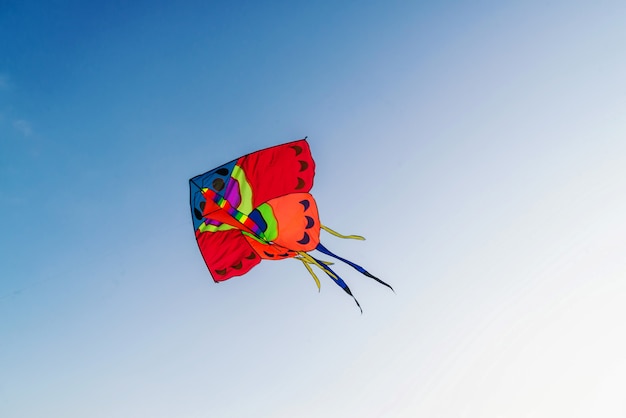Grand cerf-volant rouge dans un ciel bleu clair