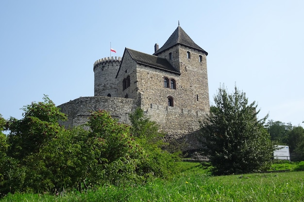 Grand château de Bedzin en Pologne