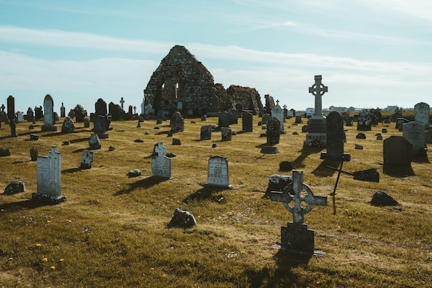 Grand cimetière avec pierres tombales sur une prairie ensoleillée