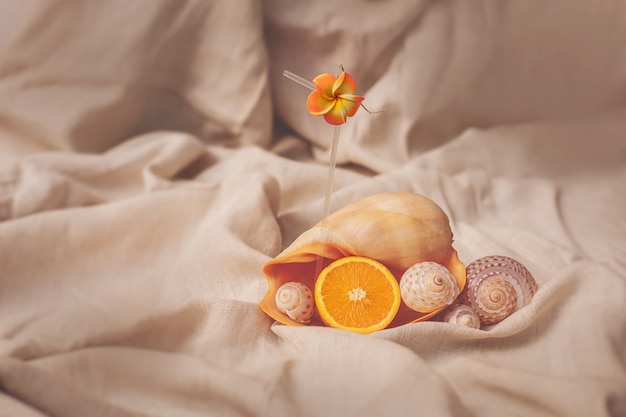 Grand coquillage sous forme de verre à cocktail avec un fond orange à l'intérieur de l'été