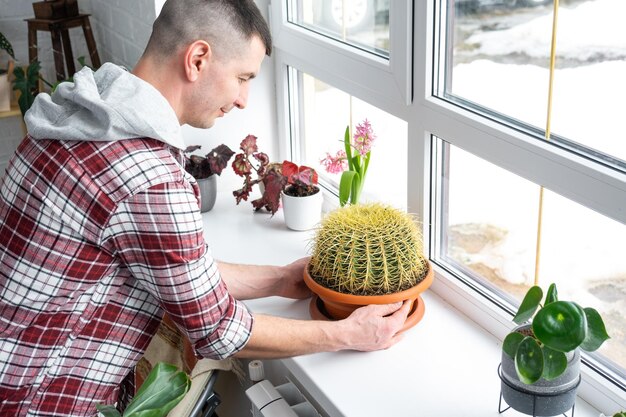 Grand echinocactus Gruzoni dans les mains de l'homme à l'intérieur près de la fenêtre sur le rebord de la fenêtre des plantes domestiques Éleveur de plantes de production végétale à domicile admirant un cactus dans un pot