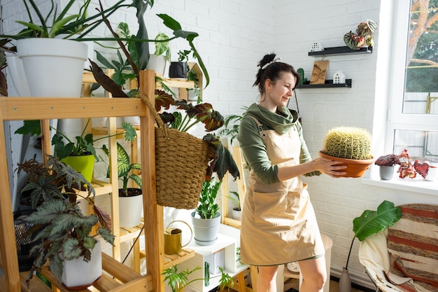 Grand echinocactus Gruzoni entre les mains d'une femme à l'intérieur d'une serre avec étagères collections de plantes domestiques Sélectionneur de plantes de production végétale à domicile admirant un cactus dans un pot