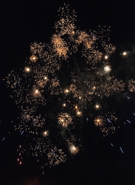 Photo grand feu d'artifice majestueux